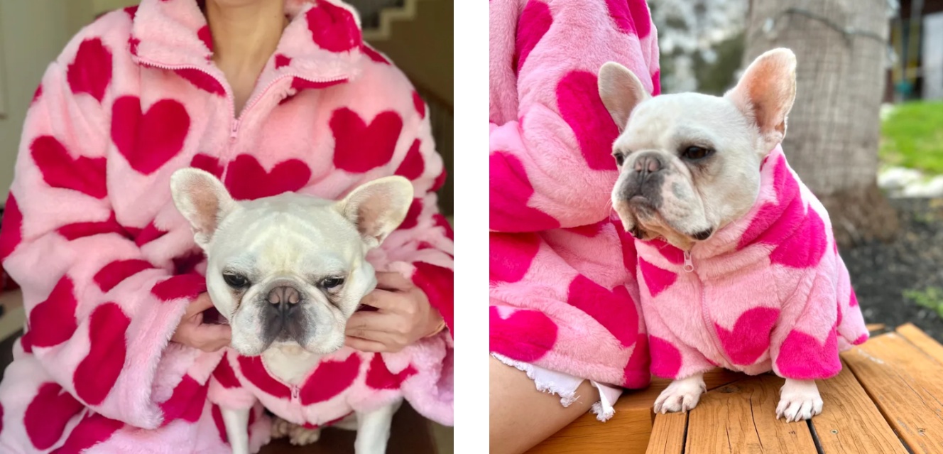 valentines dropship product recommend pet hoodie