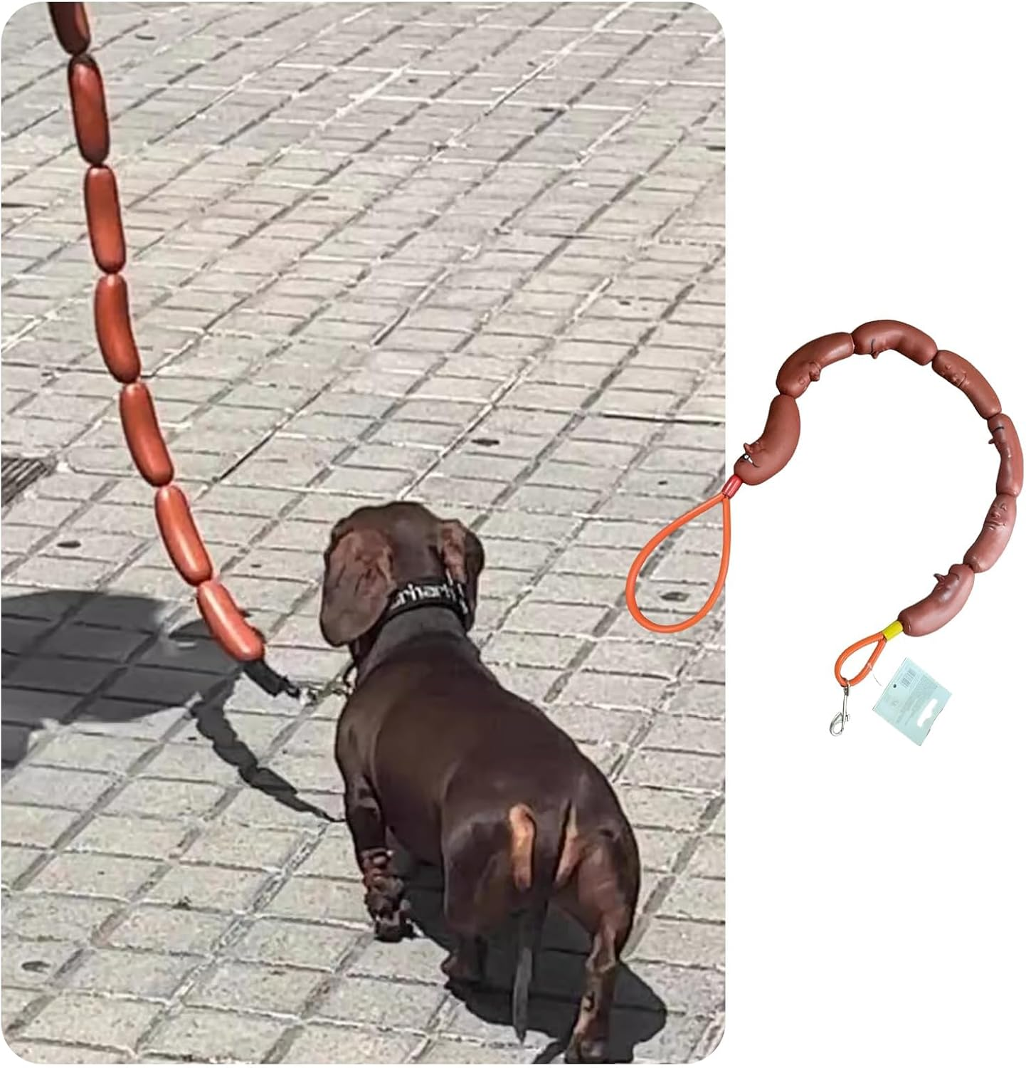 sausage dog leash.png