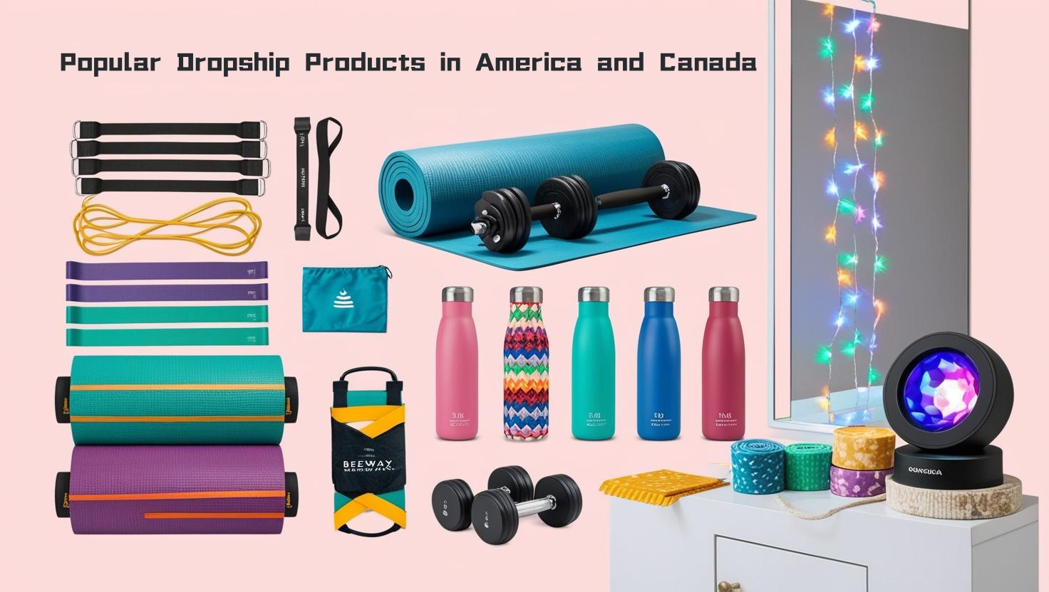 Popular Dropship Products in America and Canada